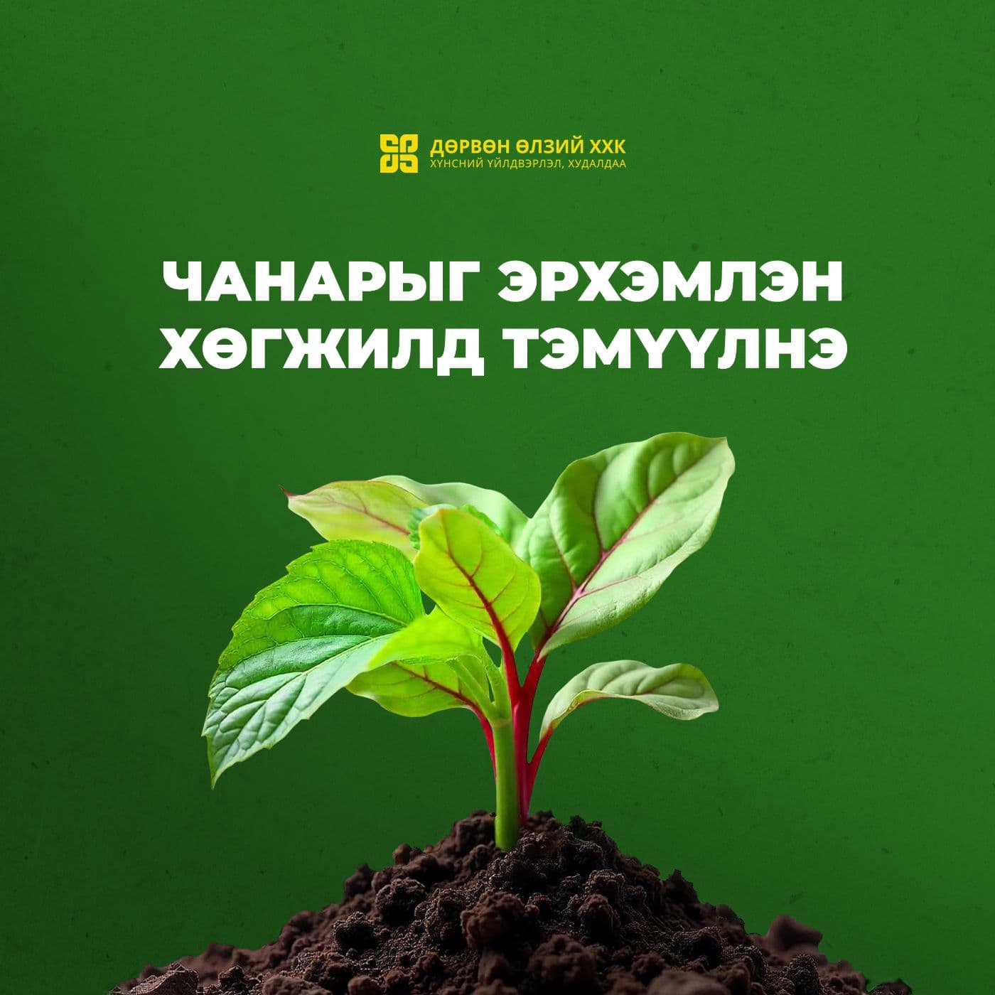 Дөрвөн Өлзий ХХК — Танилцуулга — 1-р хуудас